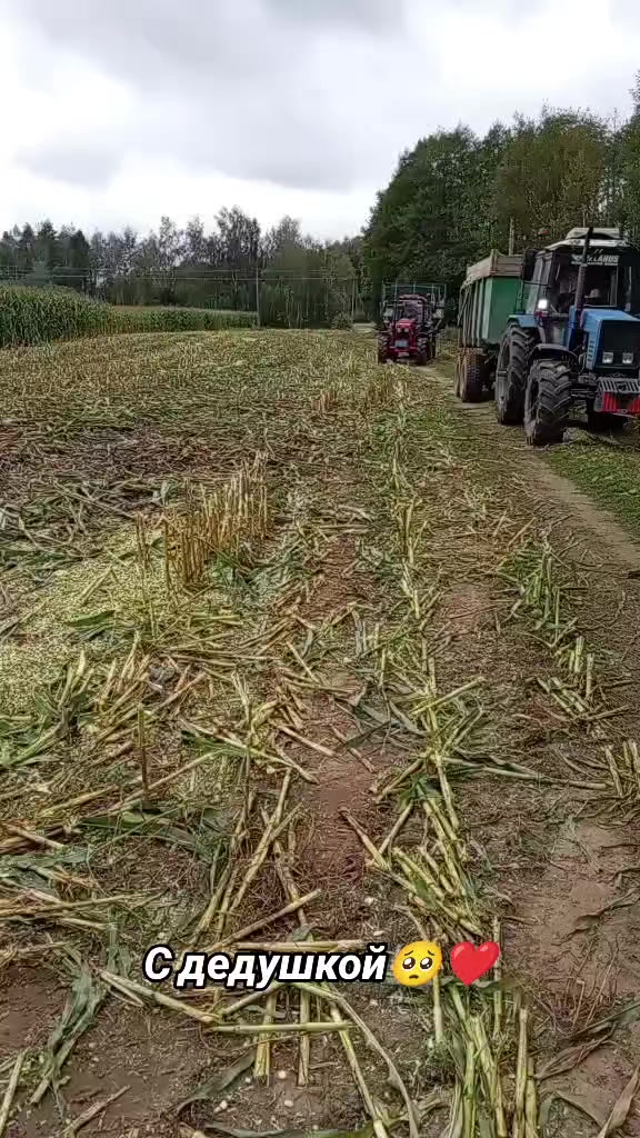@🚜ⲇяⲇьⲕᥲ ᥲⲏⲧ𐔖ⲏ🚜