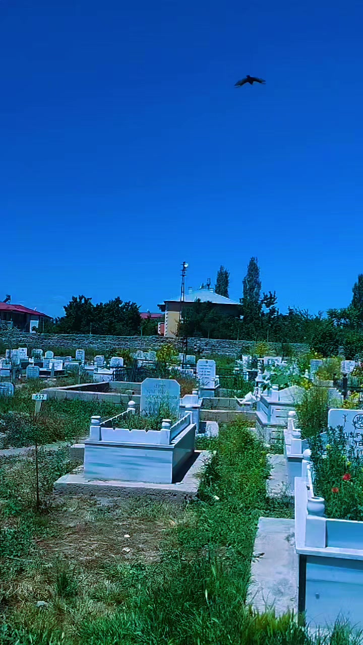 @EFE ÇAĞLA 76