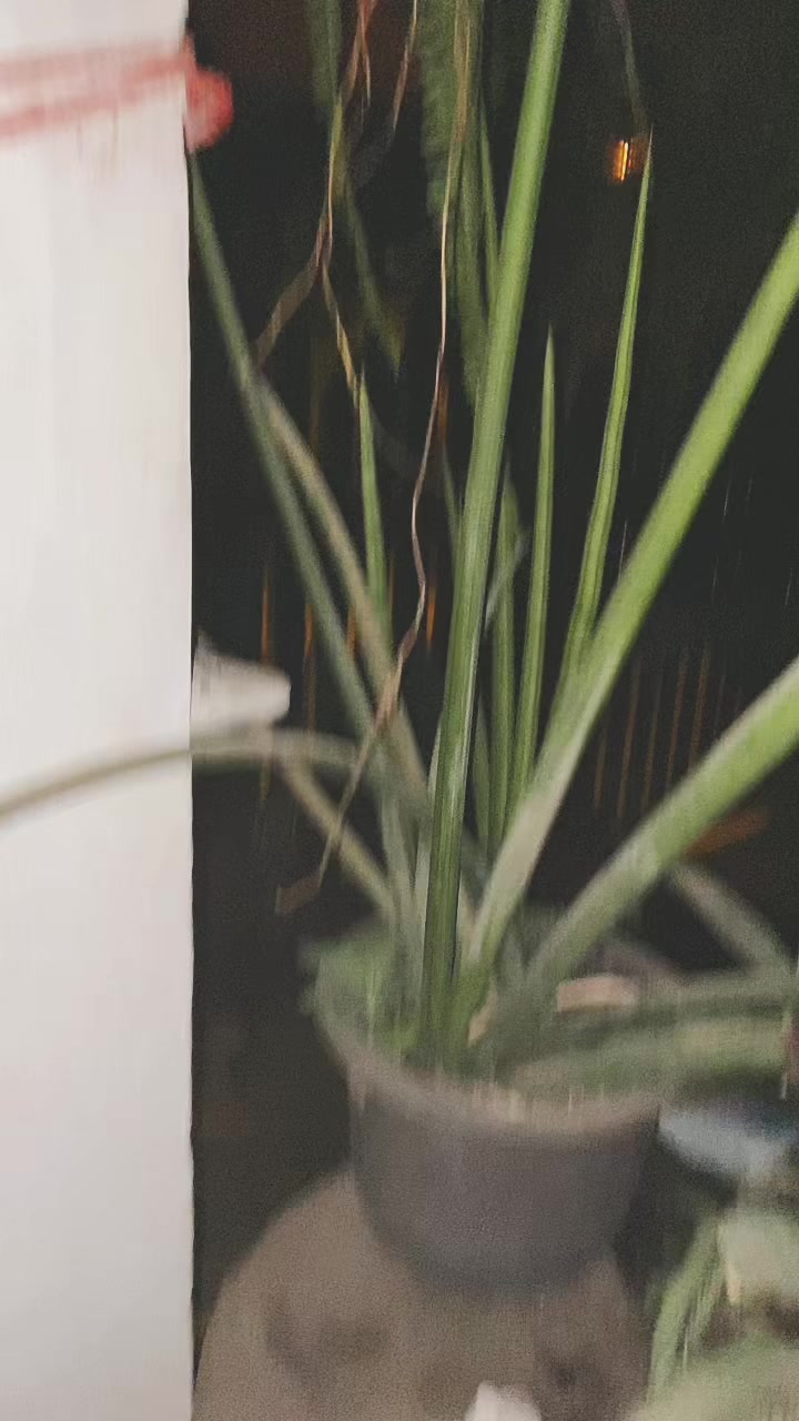 @๐๐ถ๐๐พโญ๏ธ