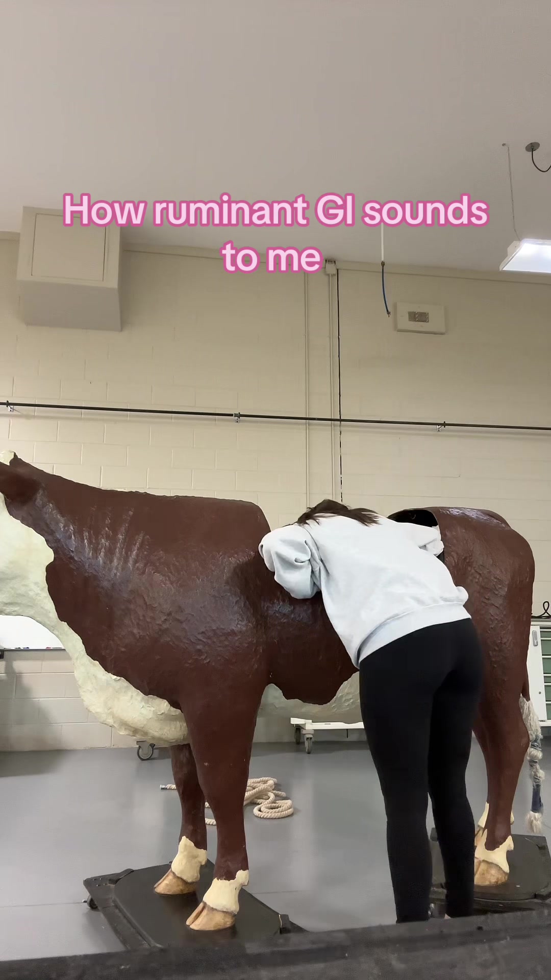 @futuredoctormegdvm