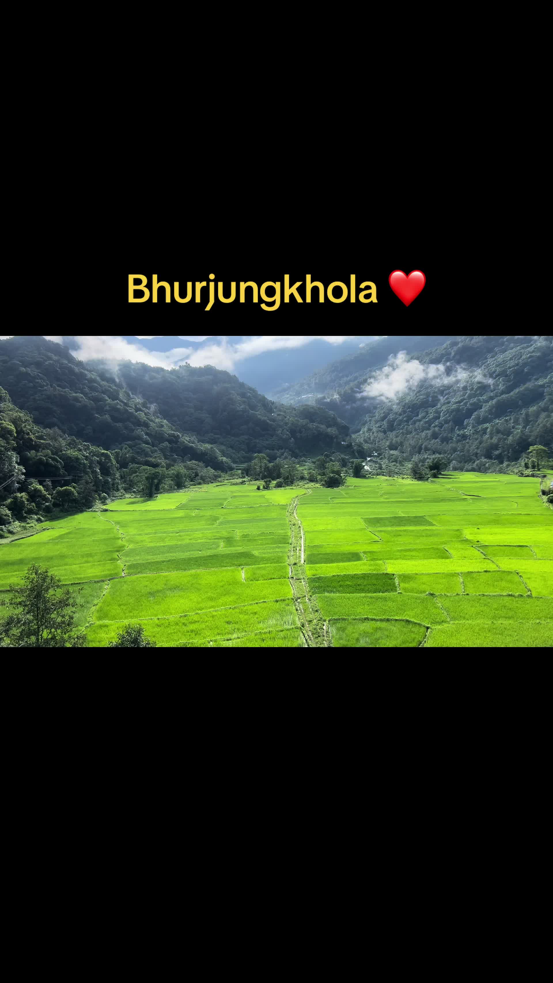 @Shikha Kc