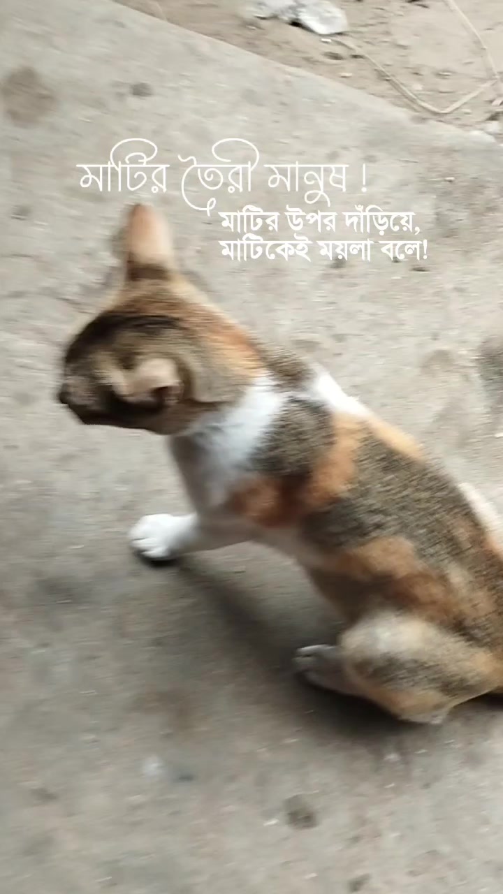 @RJ Rahul