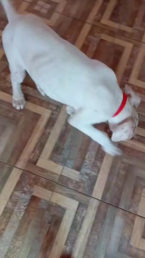 @abii_0810