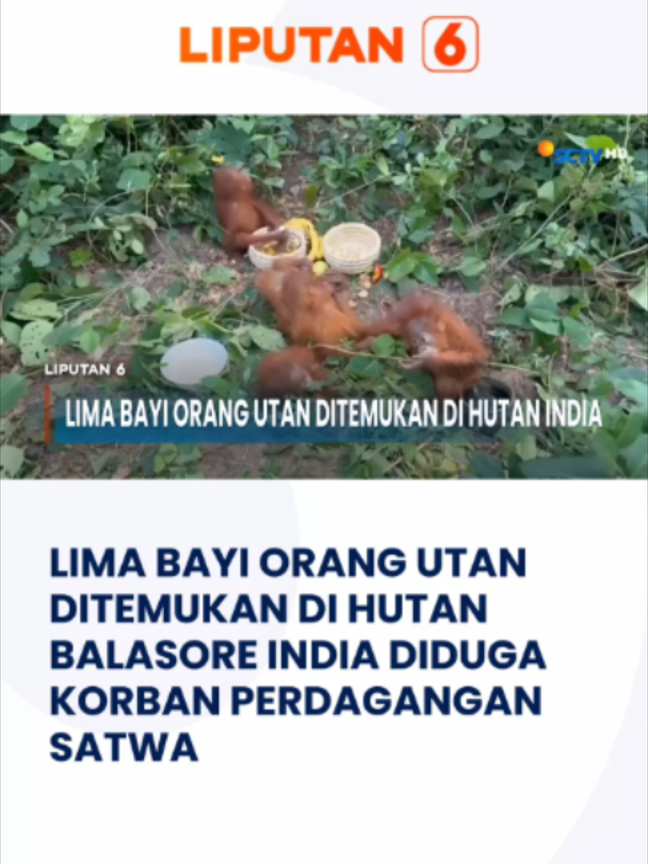 @Liputan6
