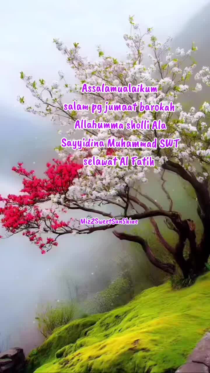 @🌹🕊️SweetSunShine🕊️🌹