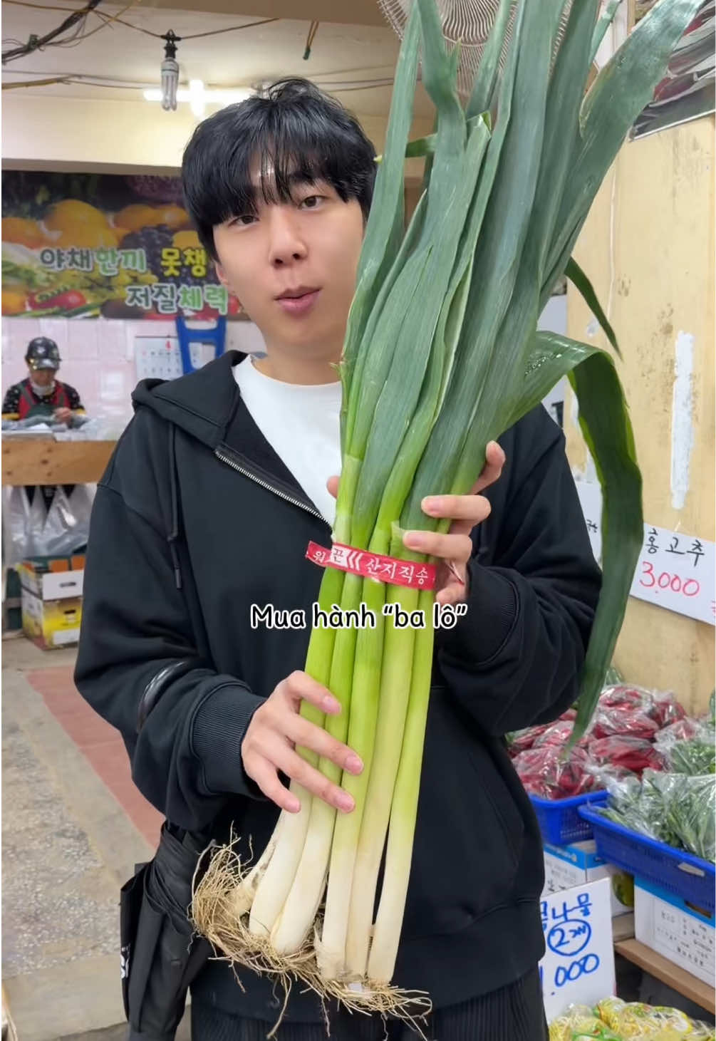 @Hoon
