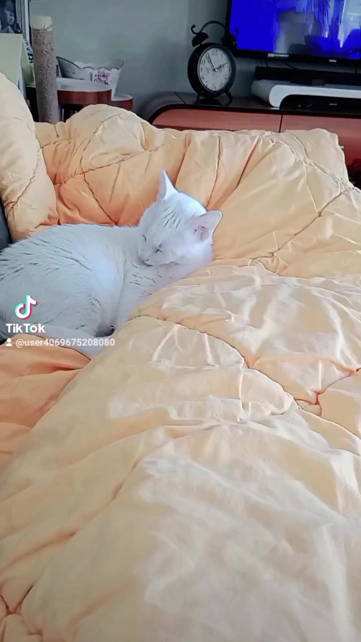 @Ali gül
