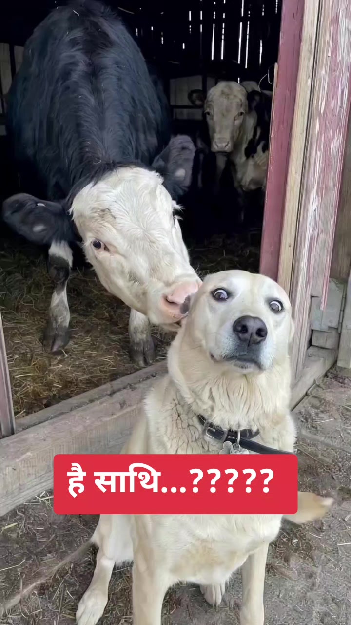 @{Umesh🫶khadka}