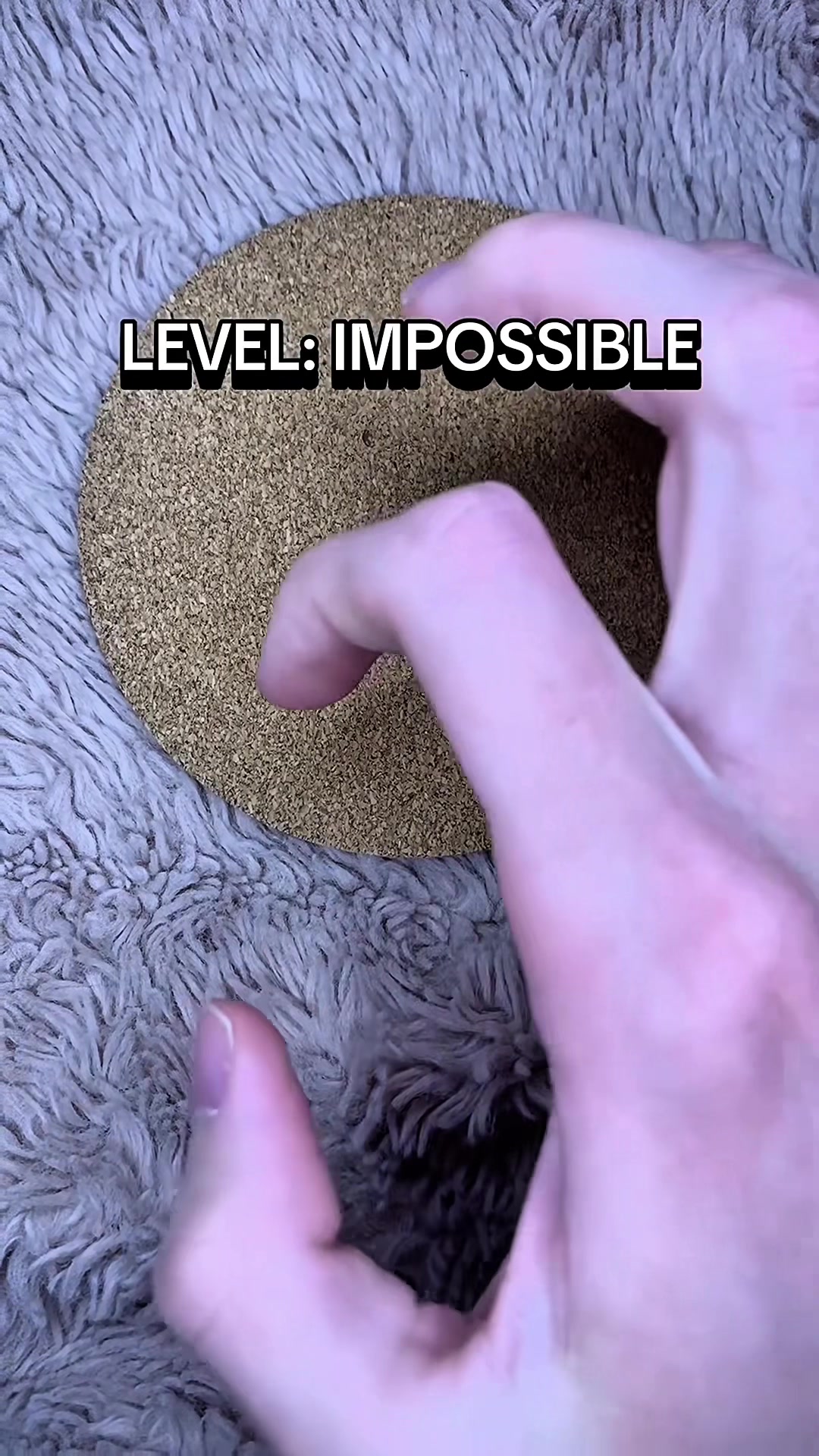 @Marcus ASMR