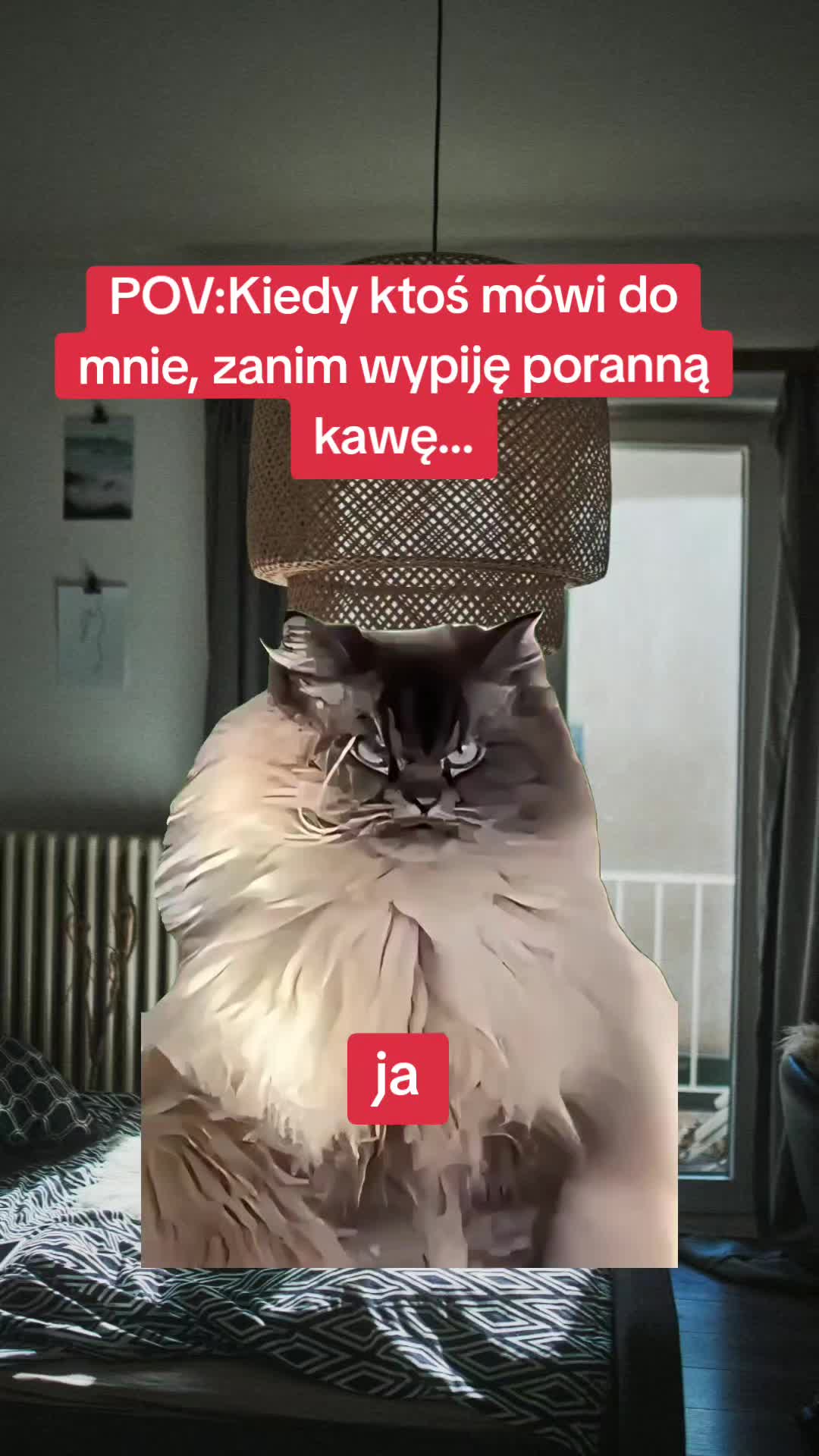 @joana_joana
