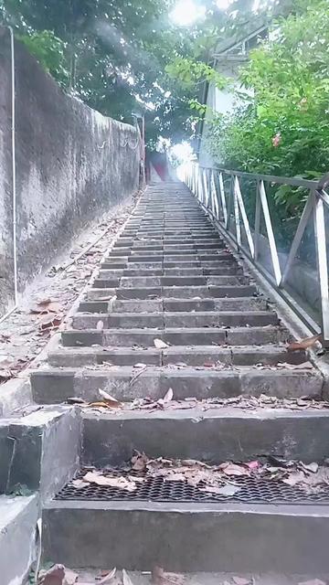 @🇹🇼穆利亞尼🇮🇩