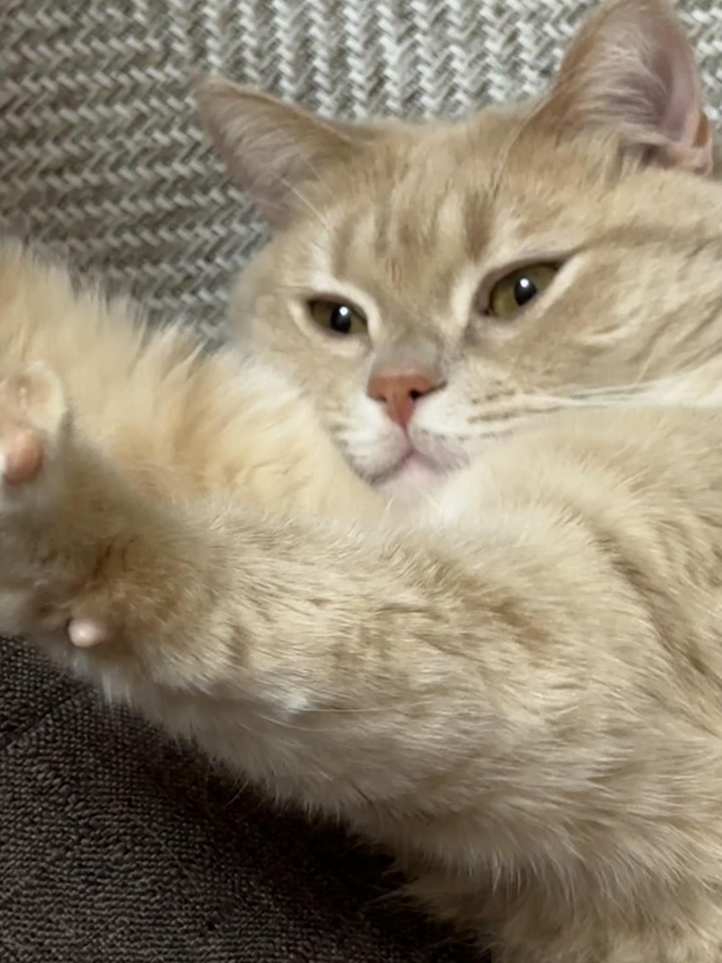 @ð«ð§ããã±ã³ðïžãããµãð§ð«
