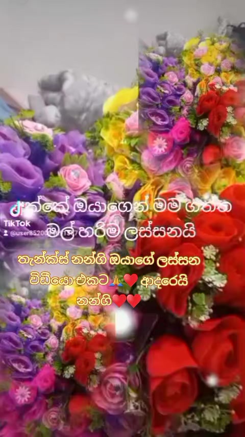 @💞💞ASR,RANJINI.❤❤💜💜