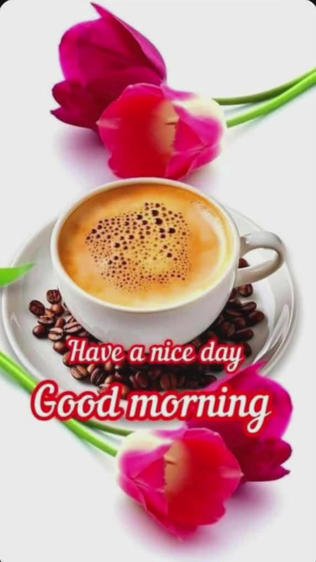 @arjun.abhat
