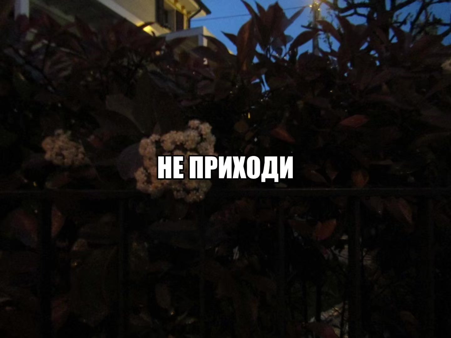 @звуки для липсингов///