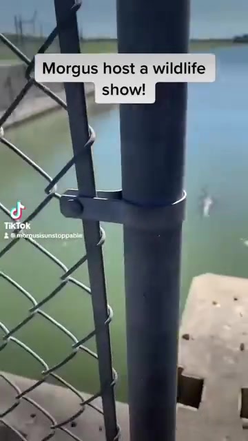 @Morgan Walker