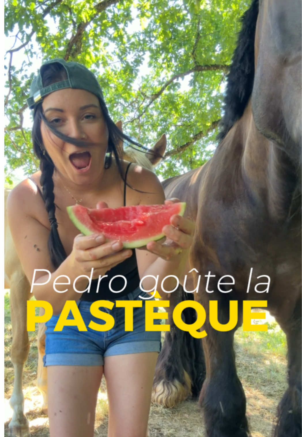@Untraitdecheval