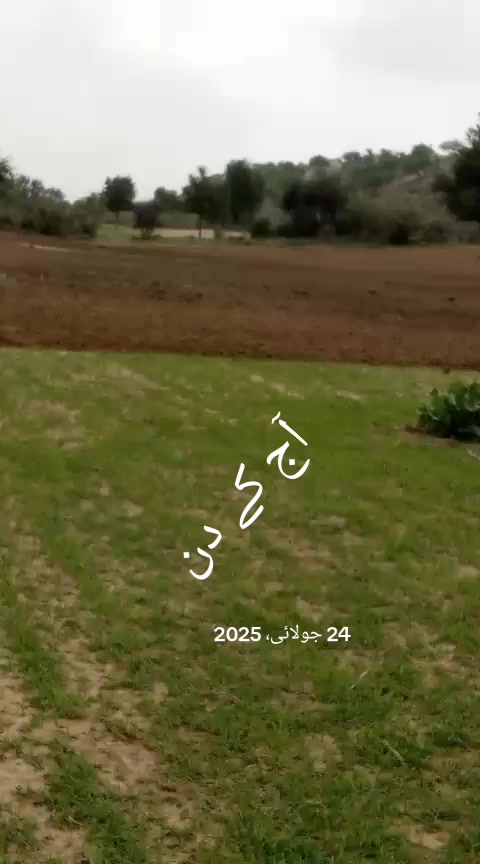 @S.S.L