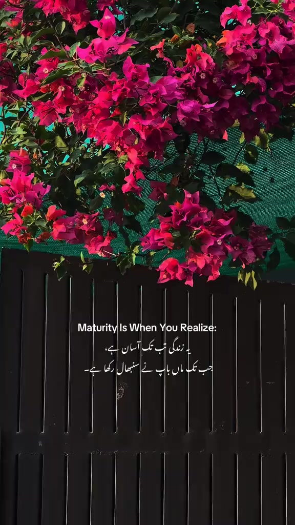 @REHANU.🍁