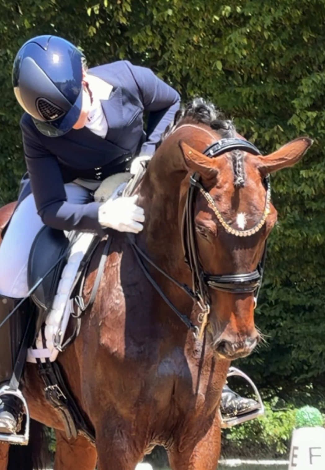 @Laura | German Horseracing