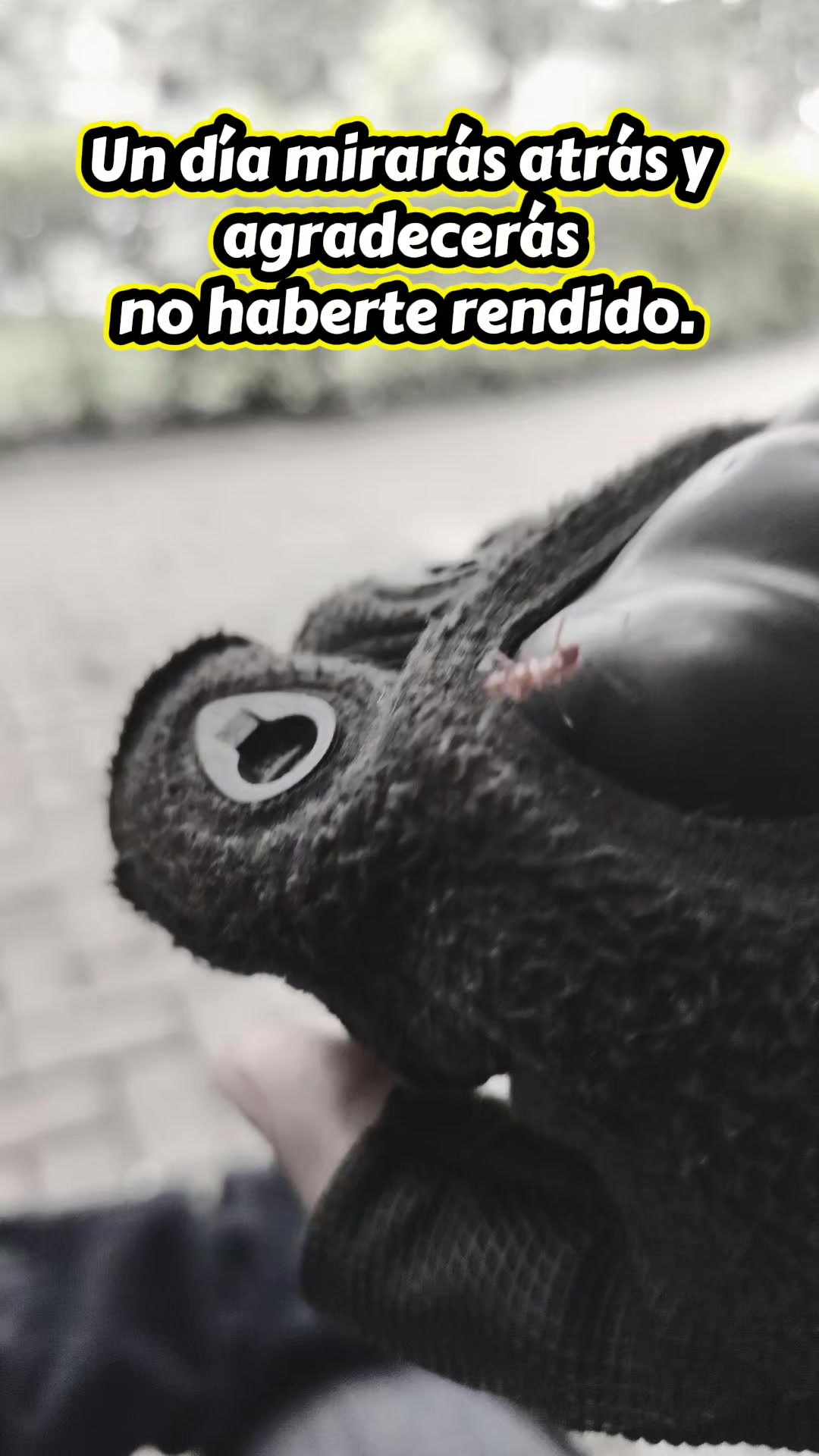 @Abg. Miguel González