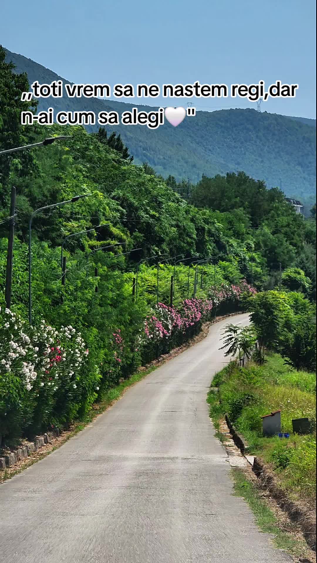 @🇷🇴🤔𝑨𝒏𝒅𝒓𝒆𝒚🇮🇹