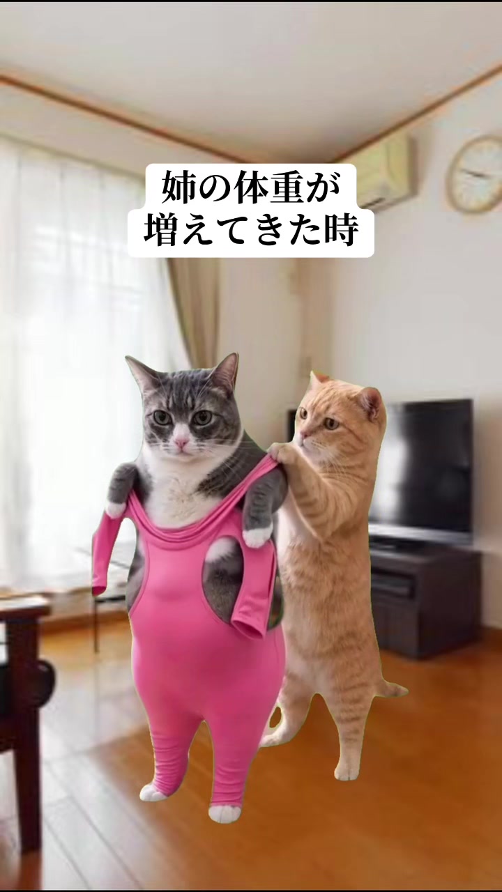 @面白ミーム