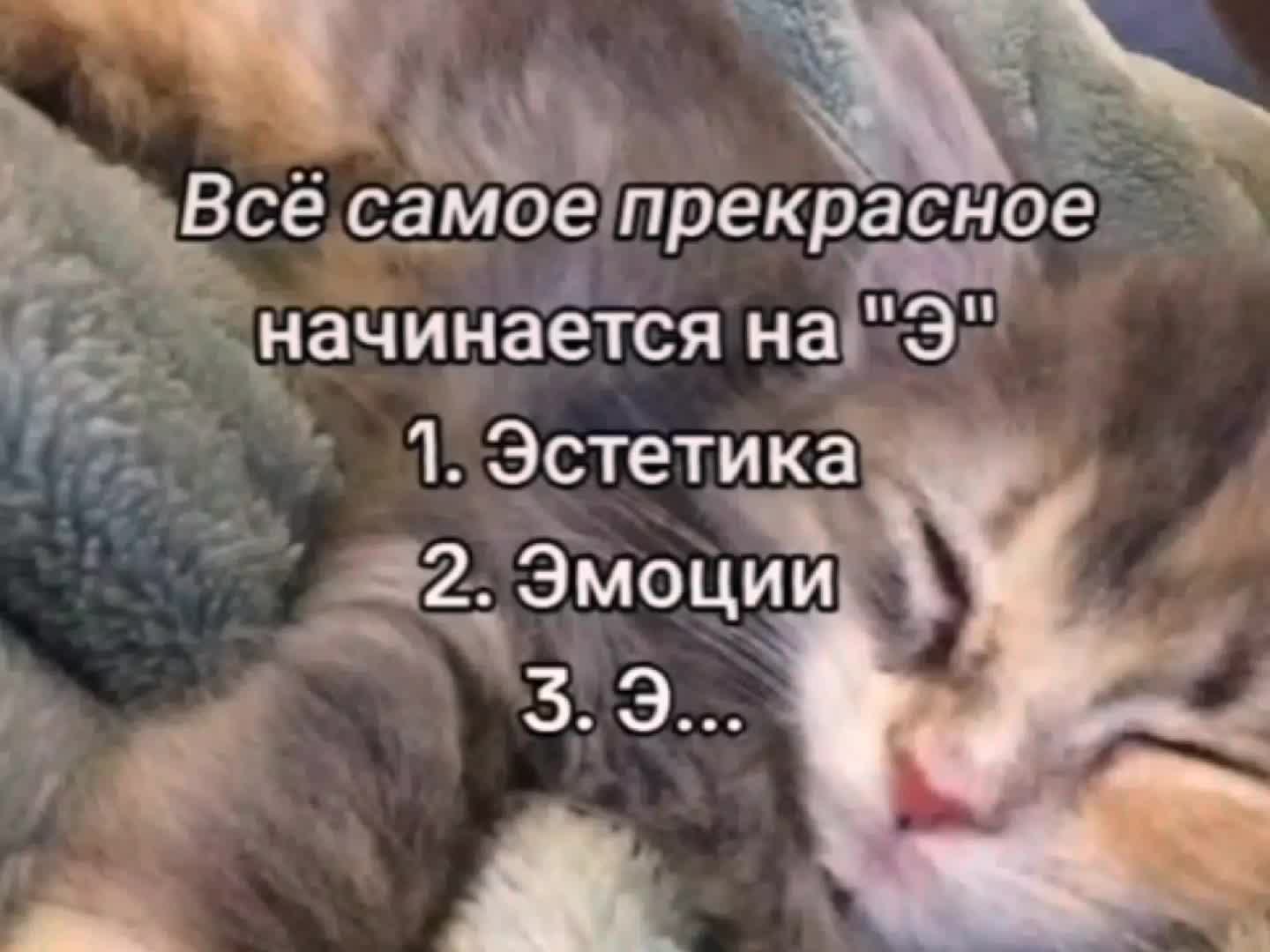 @scovorodka