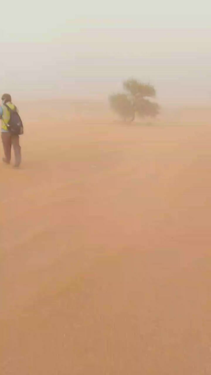 @22zawbaa