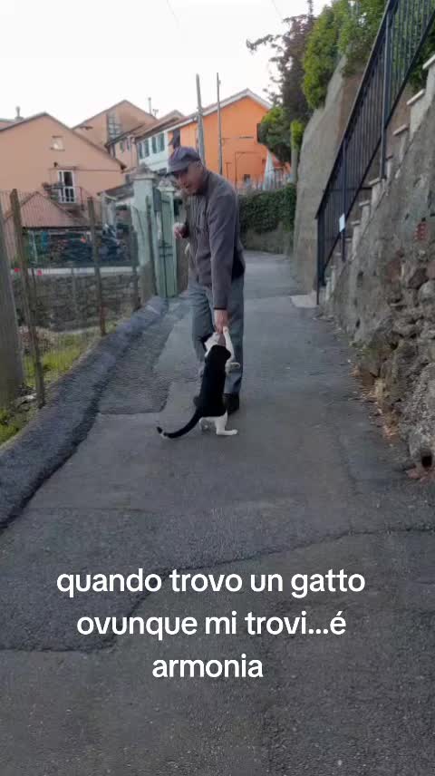 @Angelo