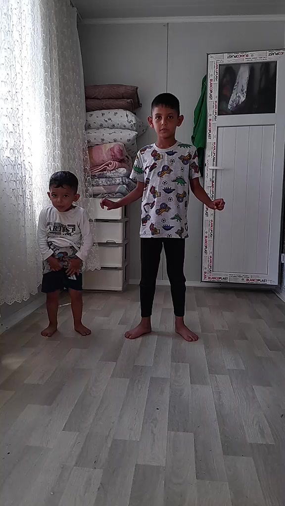 @ceviz