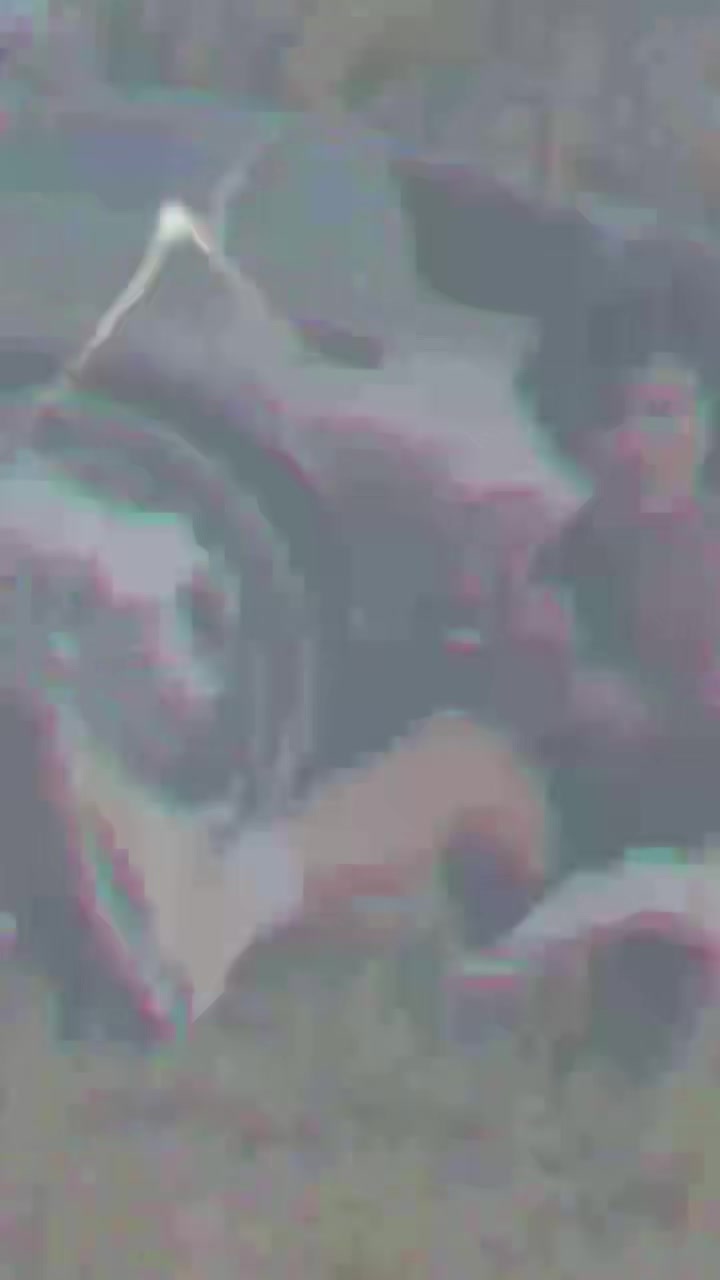 @Fo3ver1️⃣1️⃣