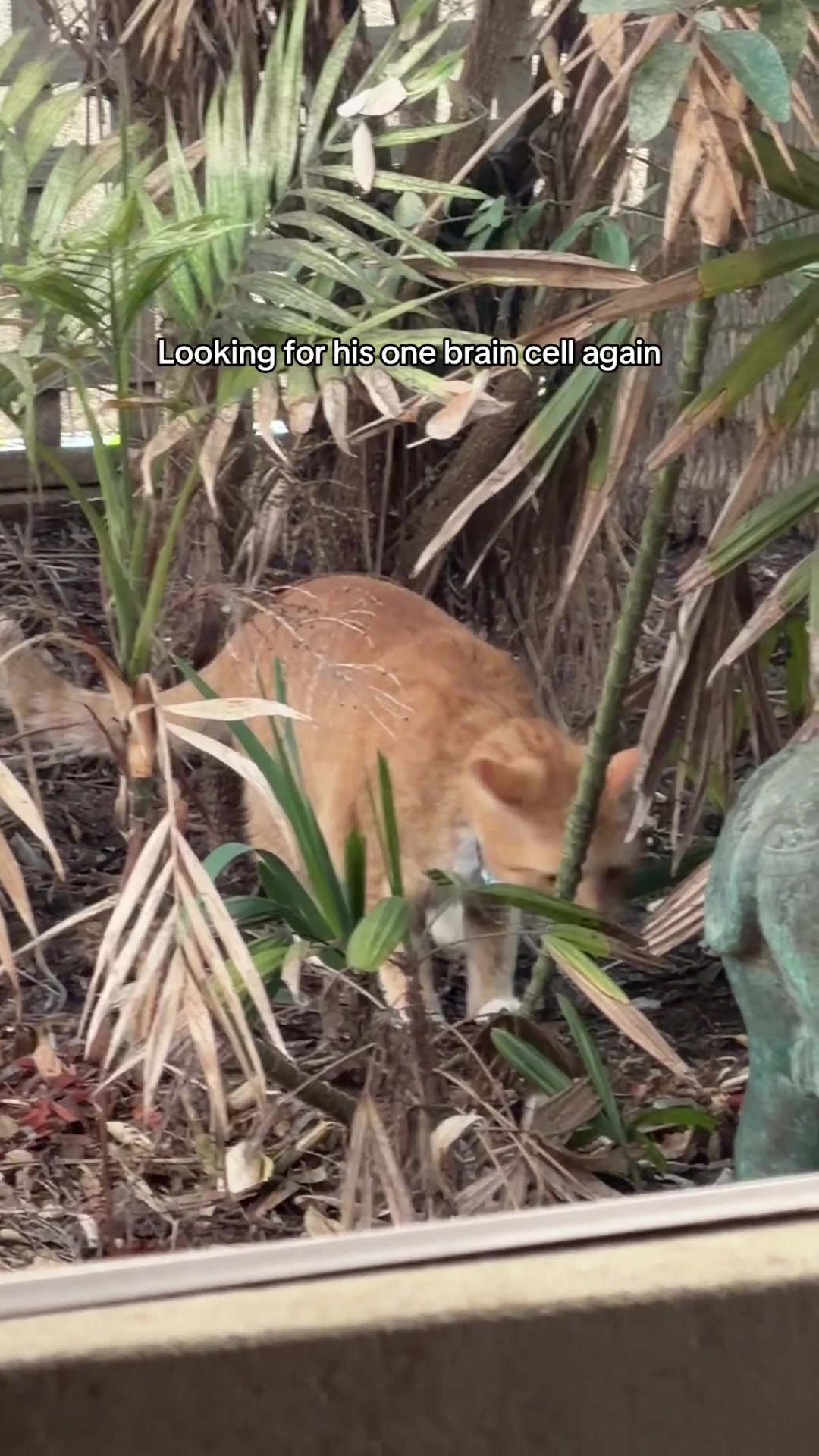 @Adry Minhard