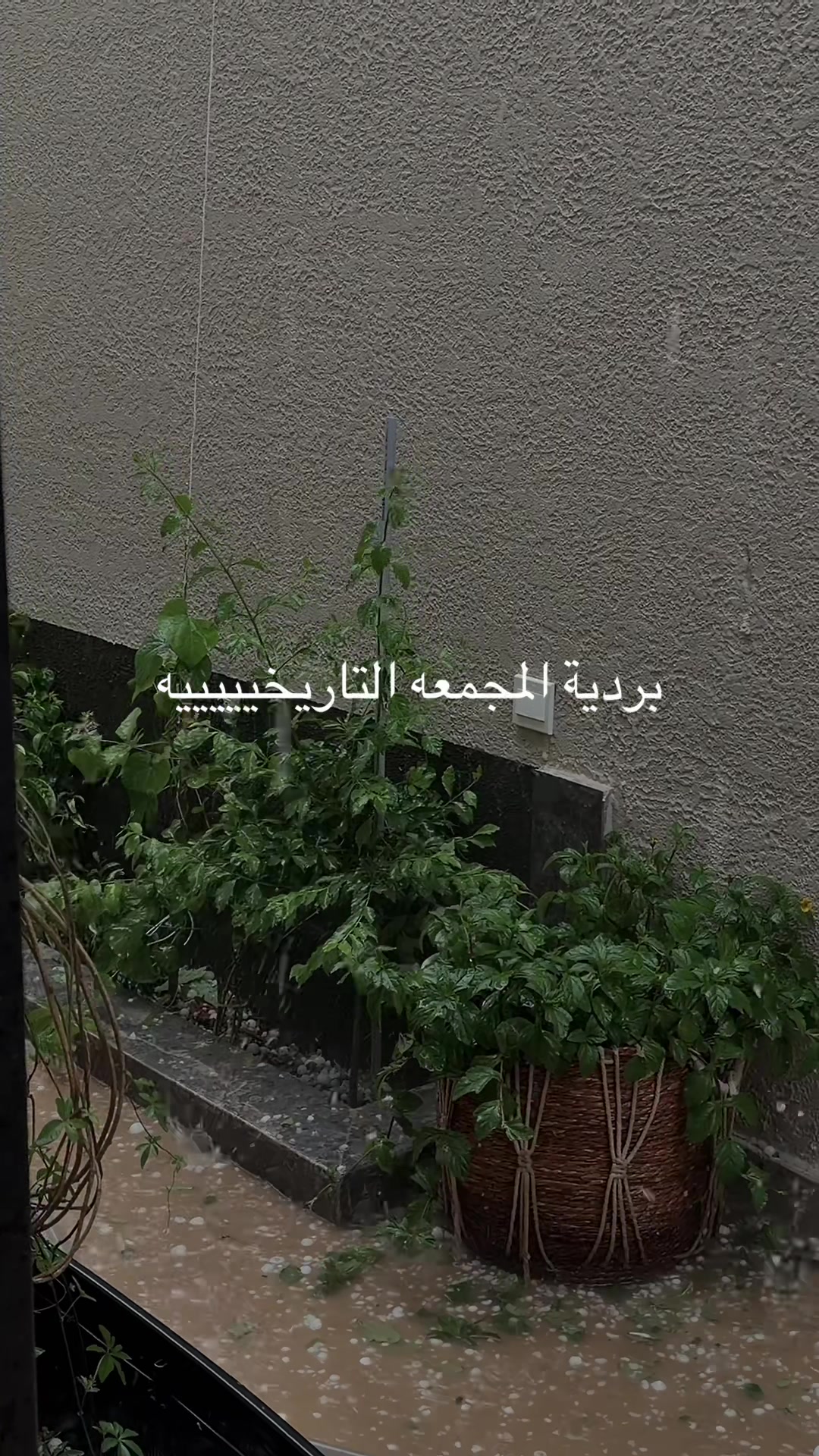 @بلوقر رهل | موثوق
