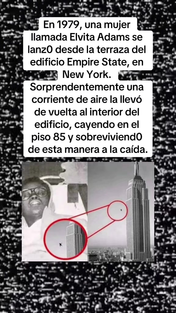 @datos.perturbamadres
