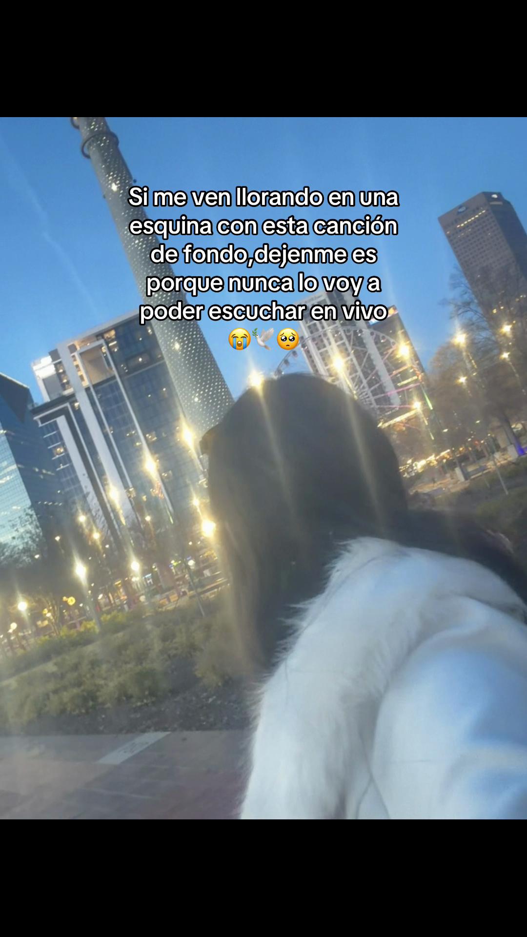 @JCG🐼