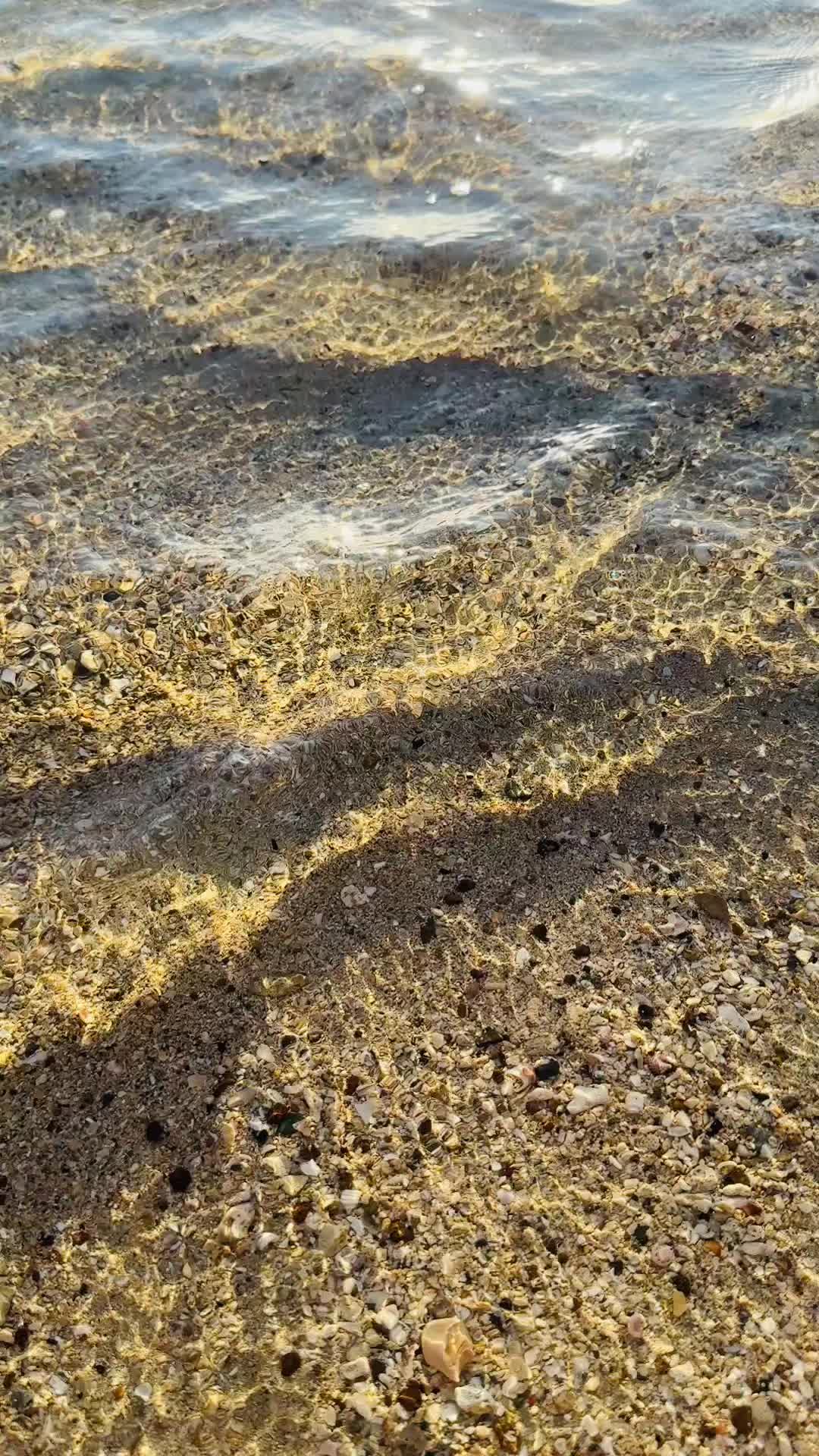 @𝒜𝒾𝓇𝒾𝓈𝒽✨🫶