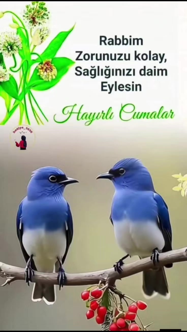 @Nurullah 171