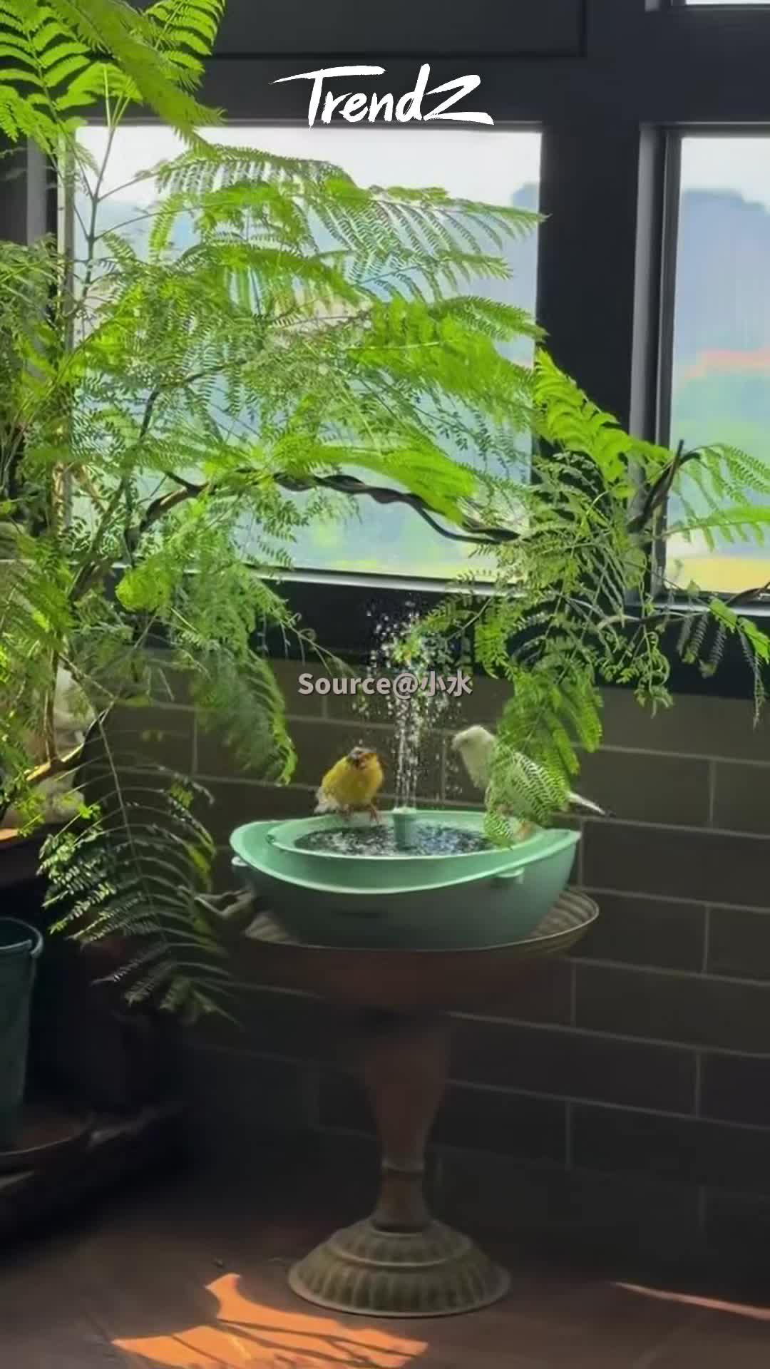 @TrendZ_CN