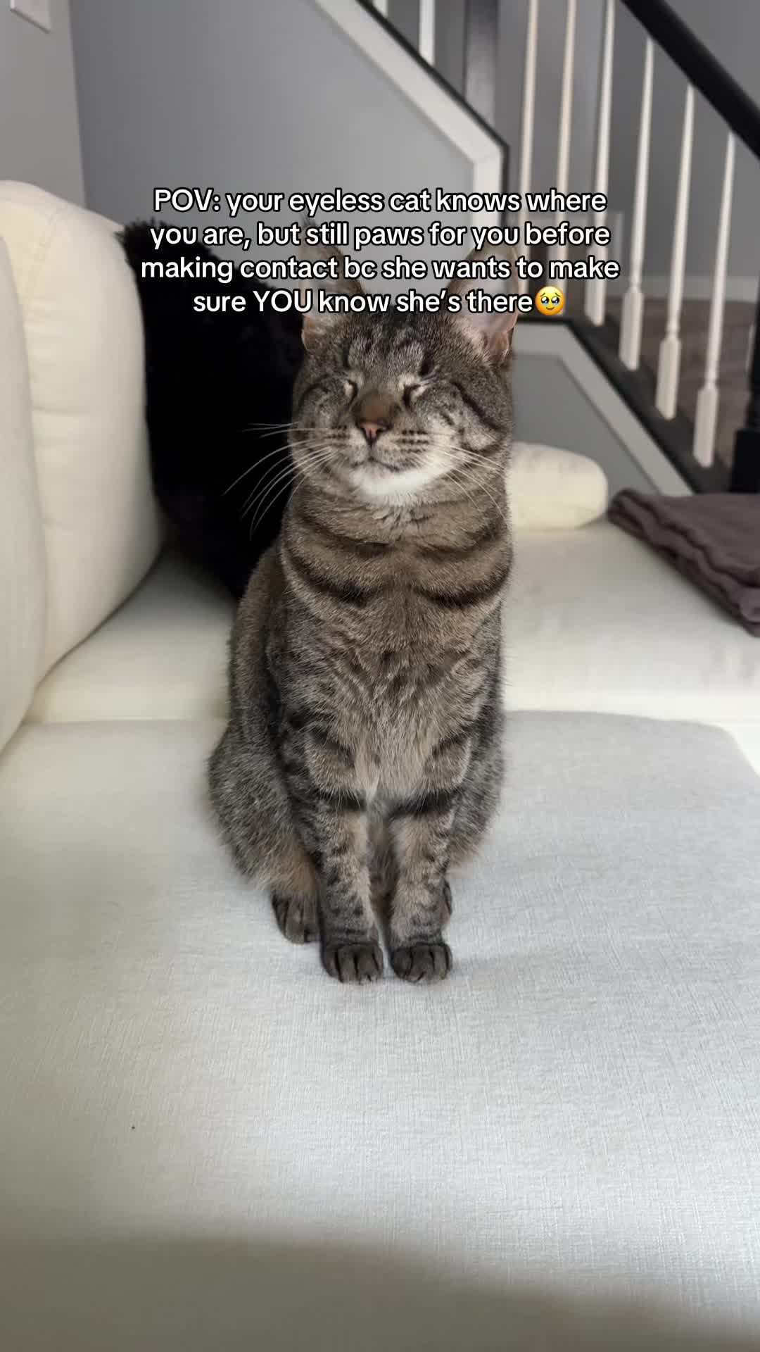 @𝘼𝙢𝙗𝙚𝙧 & 𝙎𝙩𝙚𝙫𝙞𝙚