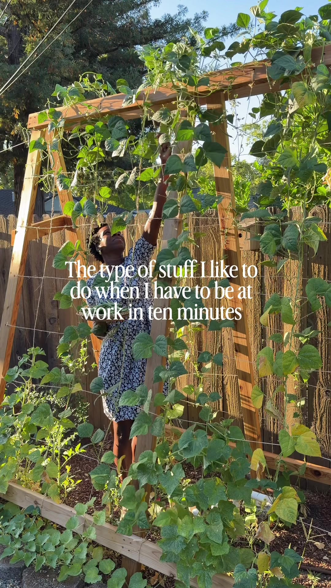 @curlycultivators