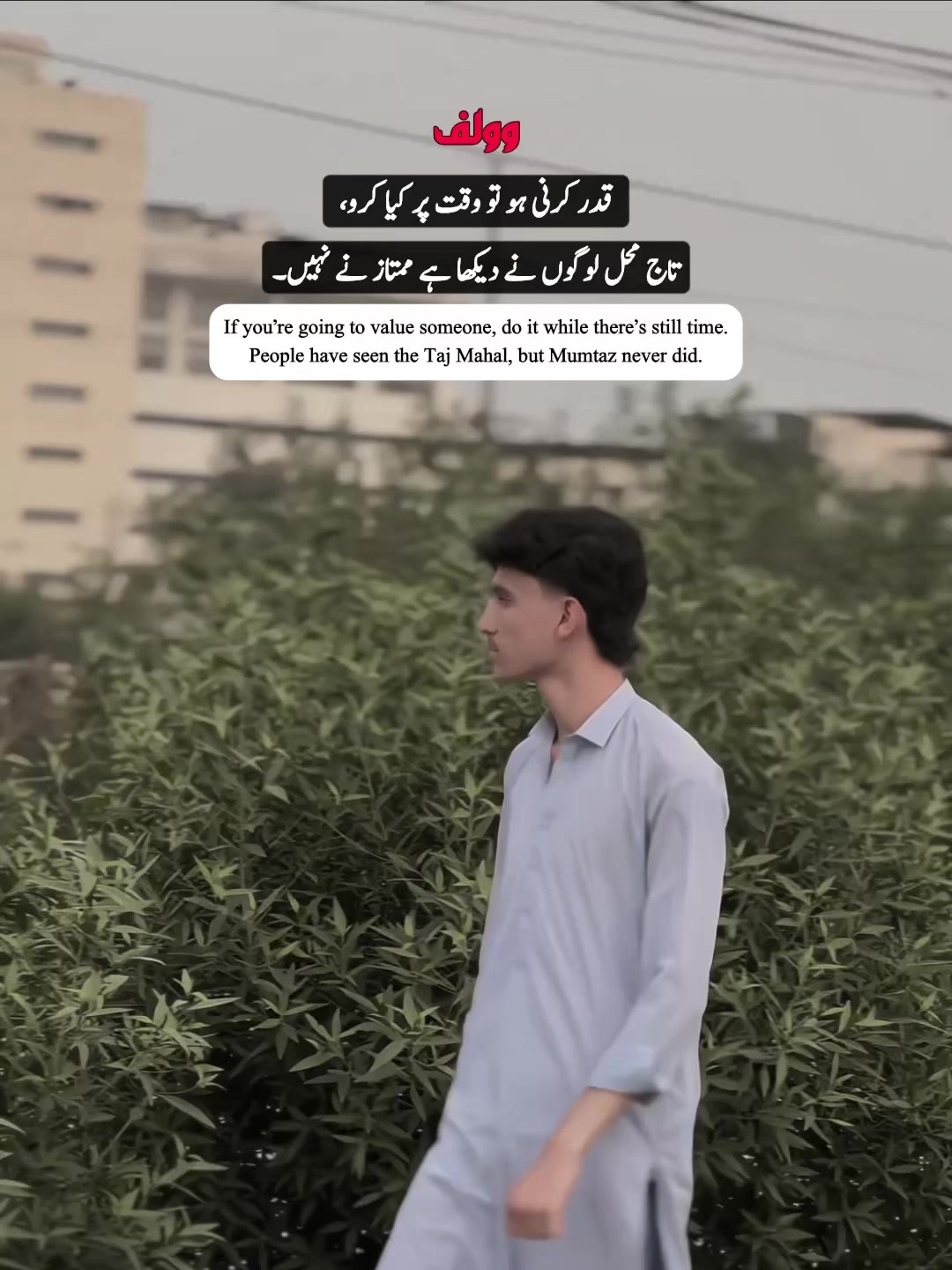 @WOLF 🐺