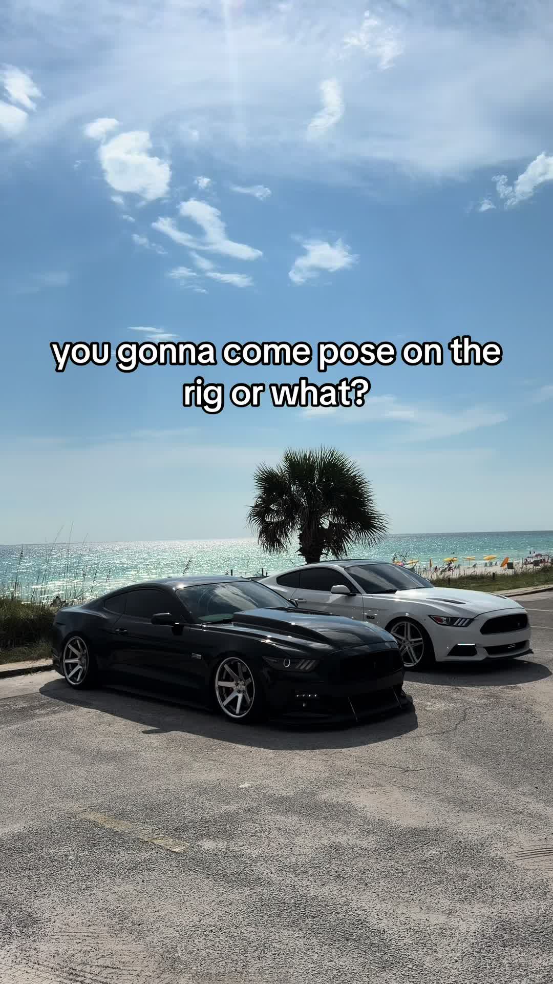 @Wayne Barter