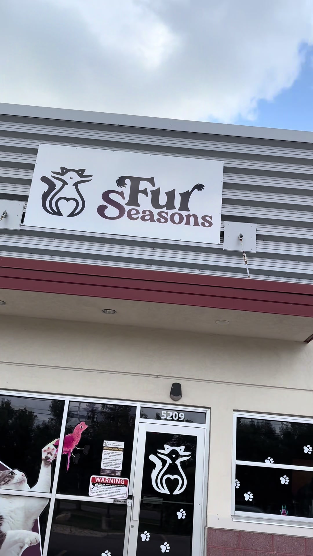 @The Fur Seasons Feline Rescue