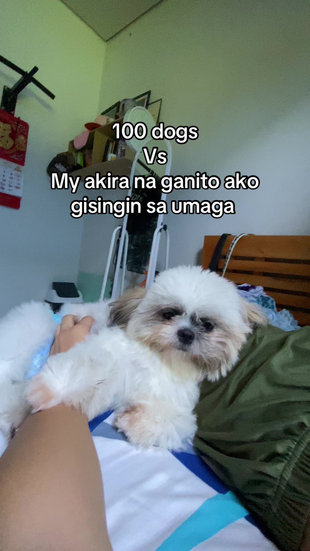 @MyWorld
