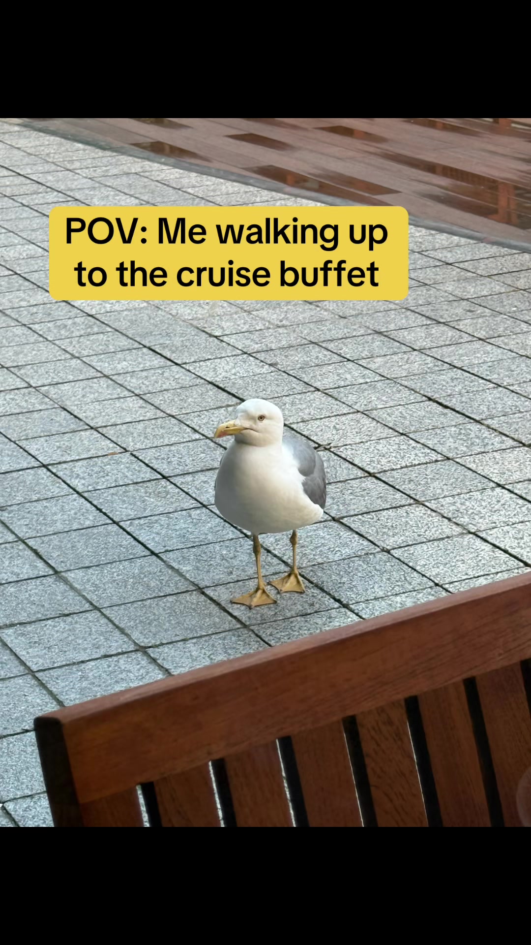 @My Wonderful Cruise Life
