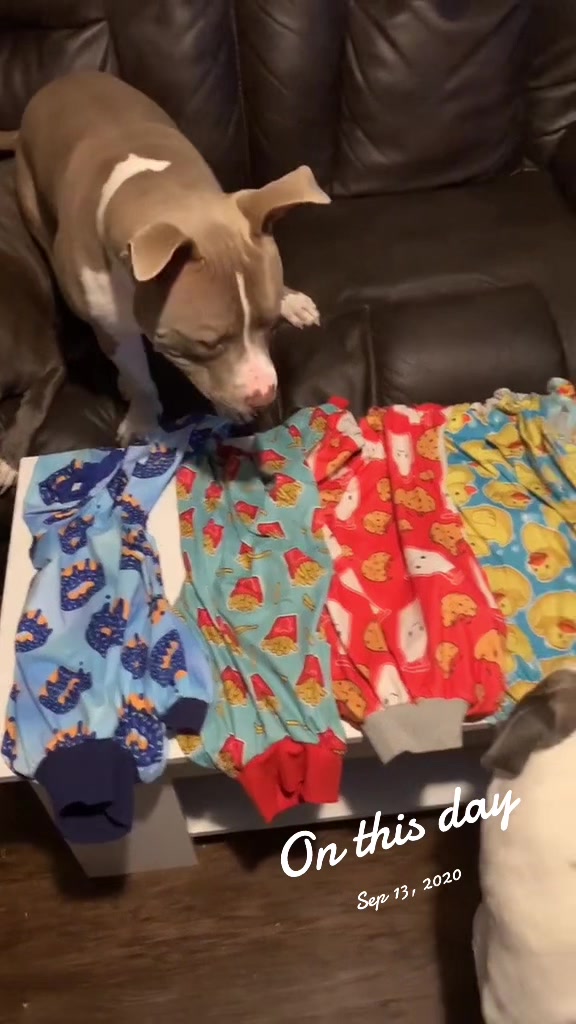 @Pittie Mom