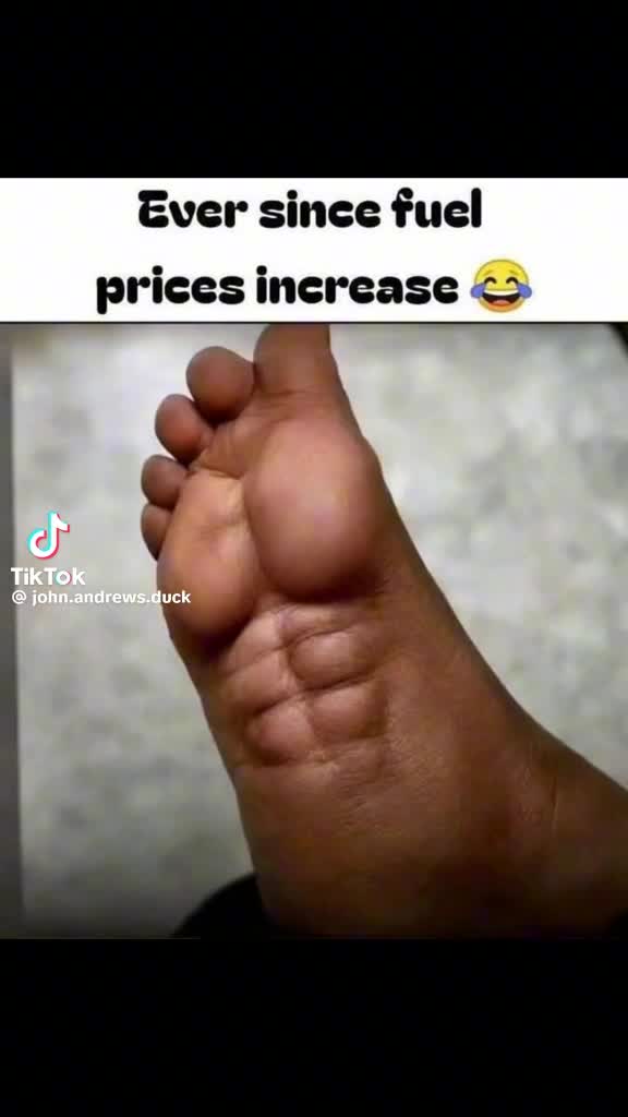 @Mr.KingDuet79