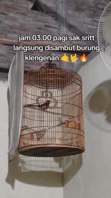 @maskembar12