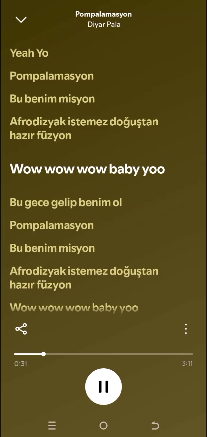@pro müzik